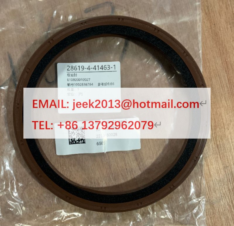 1002836764 REAR OIL SEAL FOR WEICHAI WP7 ENGINE