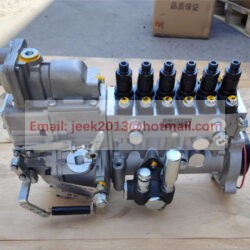 S00005172+01 FUEL PUMP FOR SHANGCHAI SC11 ENGINE