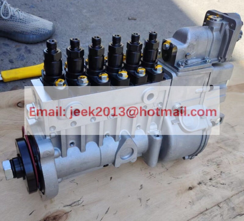 S00005172+01 FUEL PUMP FOR SHANGCHAI SC11 ENGINE