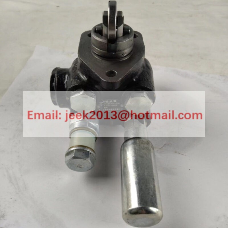 1000339008 FUEL PUMP FOR WEICHAI ENGINE