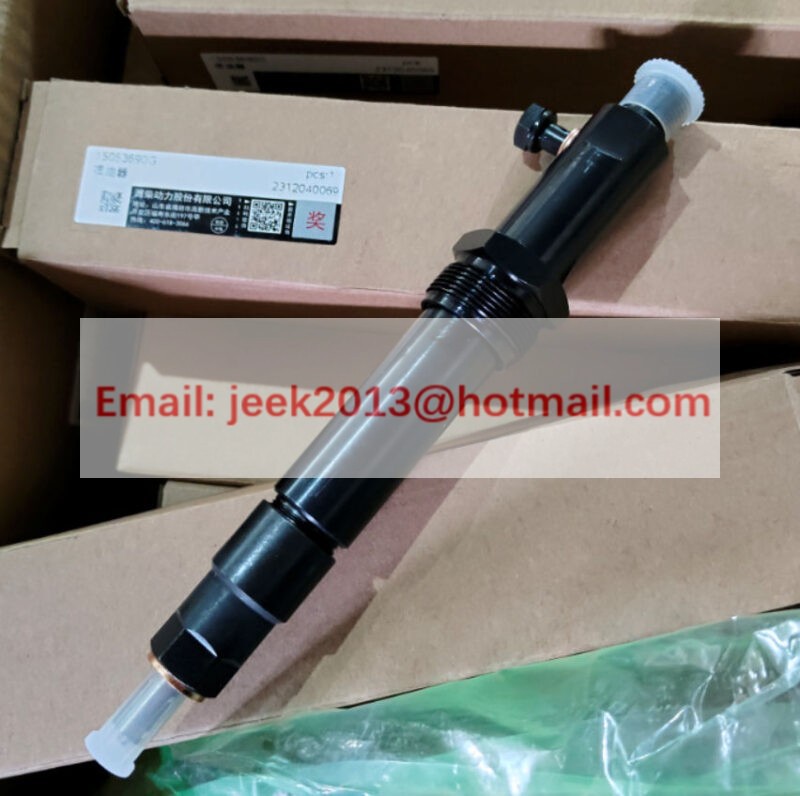 15053690G FUEL INJECTOR FOR WEICHAI ENGINE