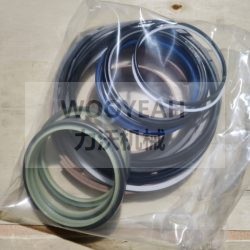 4120000558501 CYLINDER SEAL KIT FOR SDLG LG953N WHEEL LOADER