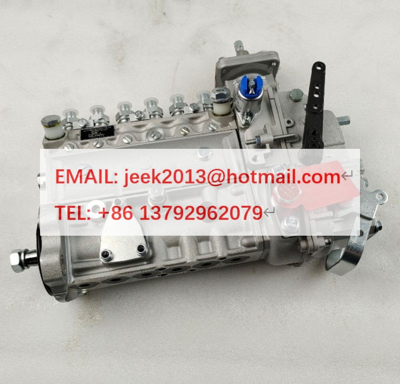 SP105829 HIGH PRESSURE FUEL PUMP FOR LIUGONG CLG835 WHEEL LOADER