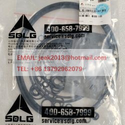 4120017612006 MAIN PUMP SEAL RING KIT FOR SDLG EXCAVATOR