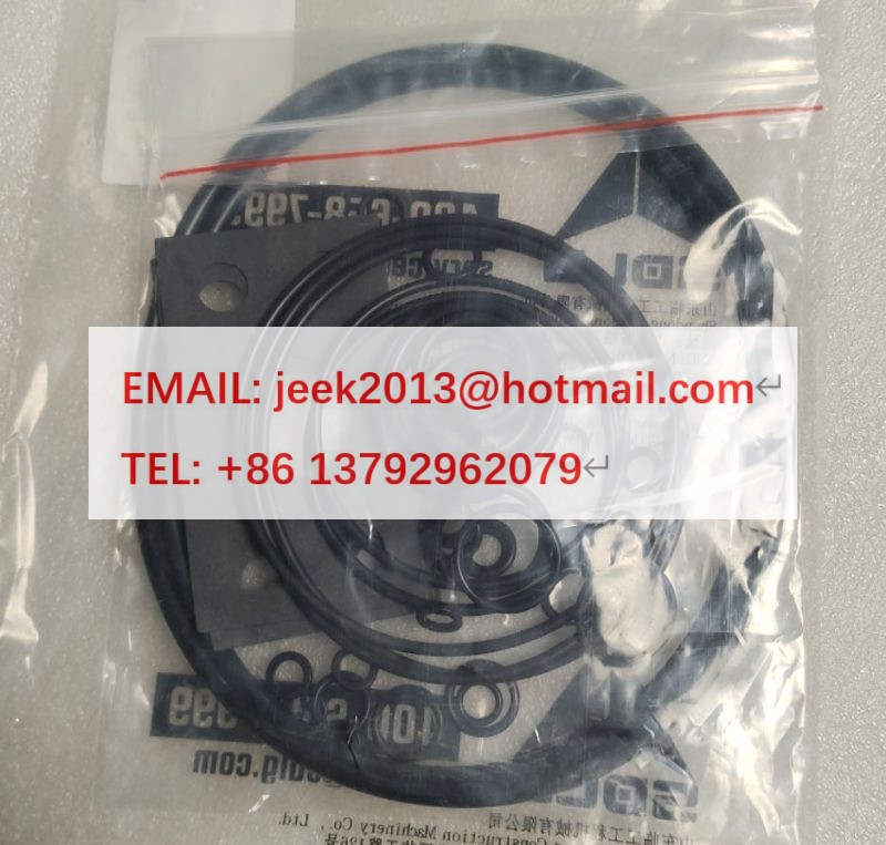 4120017612006 MAIN PUMP SEAL RING KIT FOR SDLG EXCAVATOR