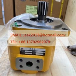 4120006917 GEAR PUMP FOR SDLG G9138F MOTOR GRADER