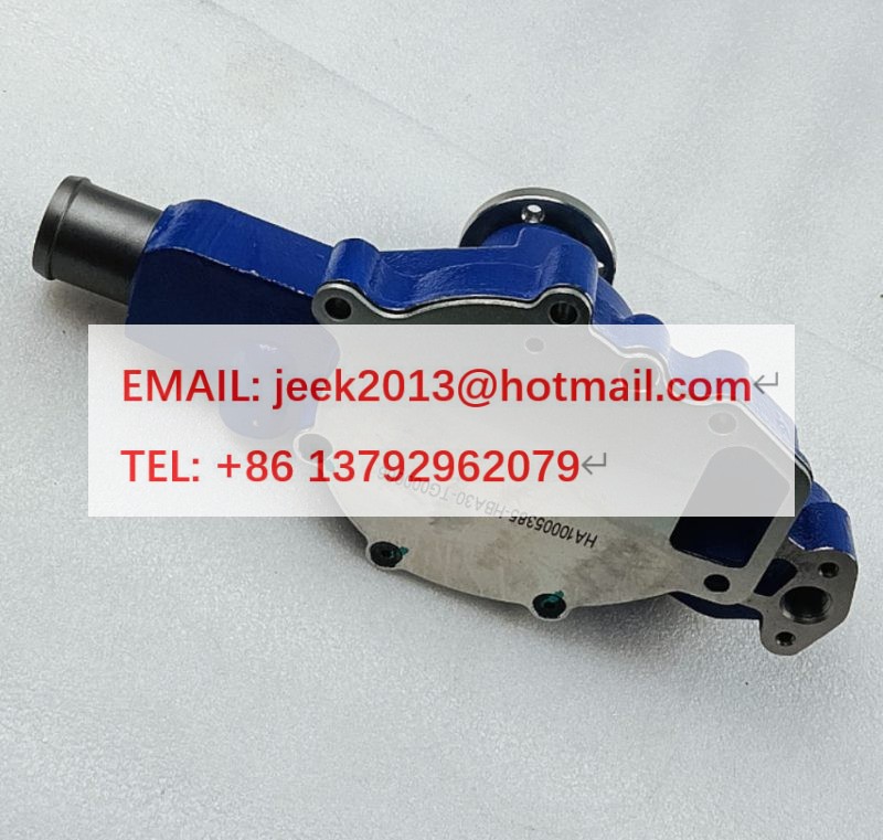 HA10005385 WATER PUMP FOR YUNNEI YN38GBZ ENGINE