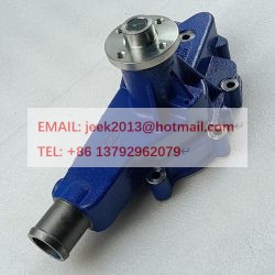 HA10005385 WATER PUMP FOR YUNNEI YN38GBZ ENGINE