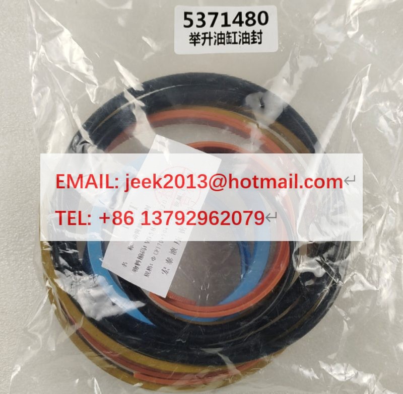 5371480 LIFT CYLINDER SEAL KIT FOR SEM 655D WHEEL LOADER