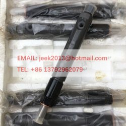612600080311 FUEL INJECTOR FOR WEICHAI WD615 WD10 ENGINE