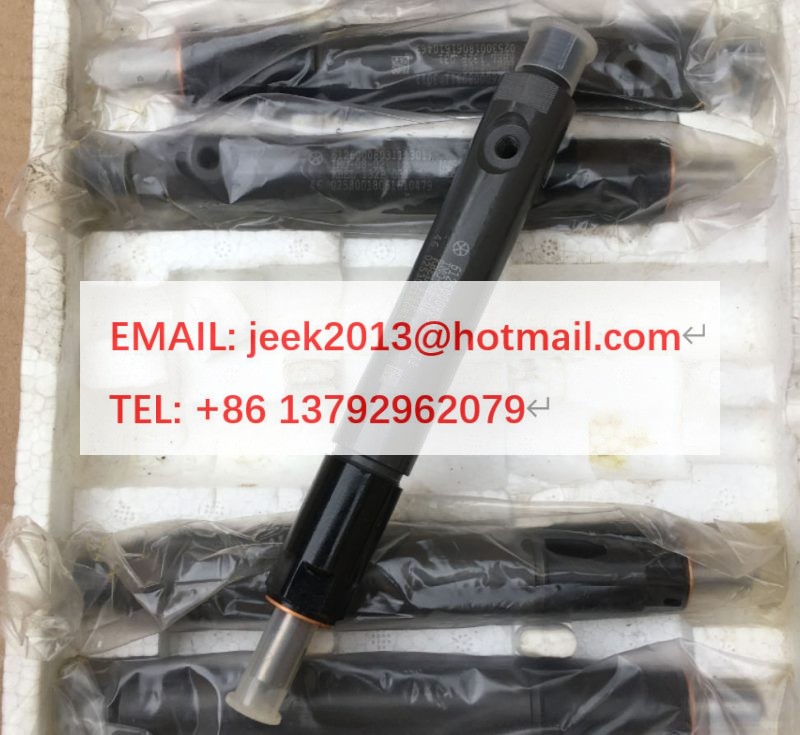 612600080311 FUEL INJECTOR FOR WEICHAI WD615 WD10 ENGINE